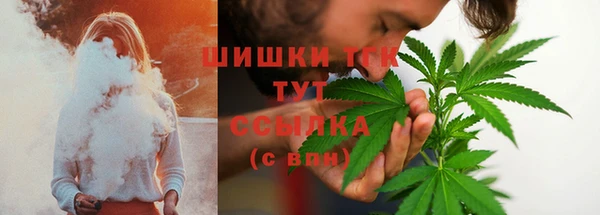 ешки Инсар