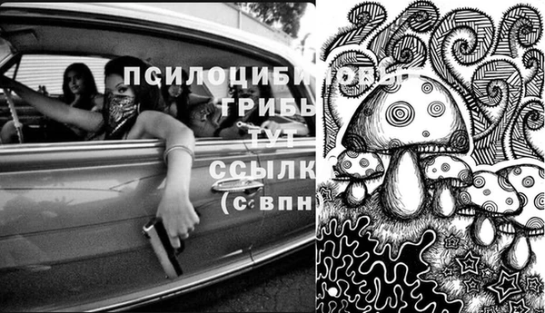 ешки Инсар