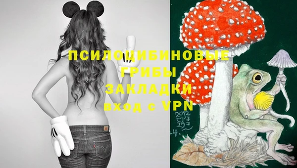 jwh Инта