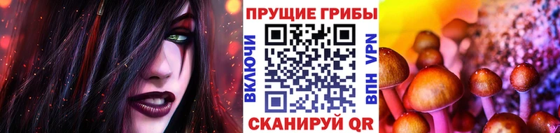 Галлюциногенные грибы GOLDEN TEACHER  Камызяк 